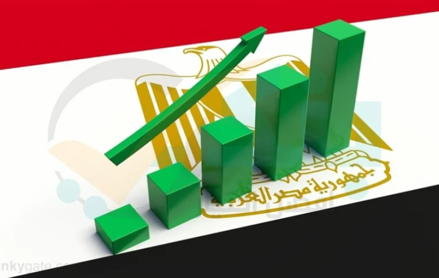 الحقوق الاقتصادية والاجتماعية للنساء في مصر من خلال سياسات الشمول المالي: تقييم المنجز والتحديات - رشا رمزي