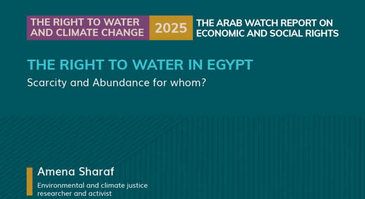 The Right to Water in Egypt: Scarcity and Abundance for whom?